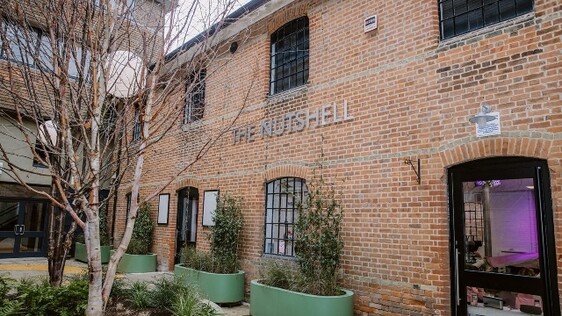 Outside of The Nutshell, Winchester. Brick building with large planters outside.